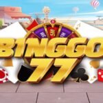 BingGo77