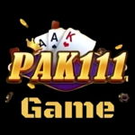 Pak111 Game