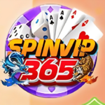 Spin Vip 365